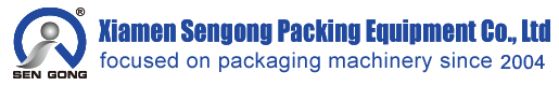 Maghrebi mint tea pyramid Bag Packing Machine delivery to USA