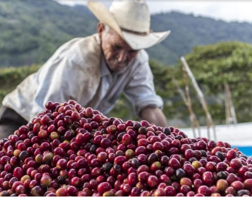 Peruvian drip coffee bag packaging machine